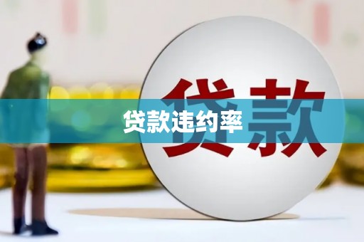 洛川贷款违约率
