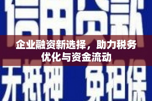 洛川企业融资新选择，助力税务优化与资金流动