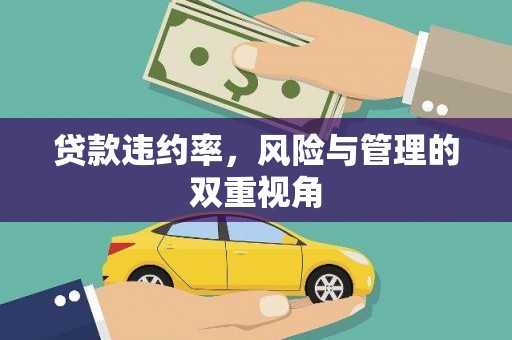 洛川贷款违约率，风险与管理的双重视角