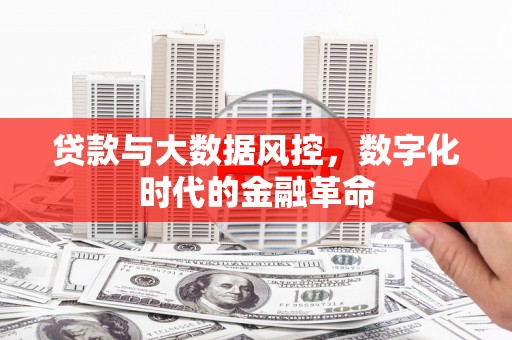 洛川贷款与大数据风控，数字化时代的金融革命