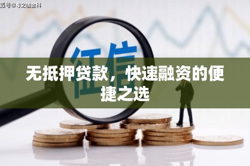 洛川无抵押贷款，快速融资的便捷之选