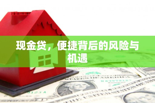 洛川现金贷，便捷背后的风险与机遇