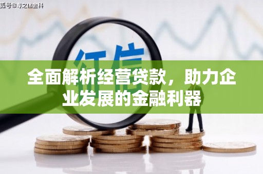 洛川全面解析经营贷款，助力企业发展的金融利器