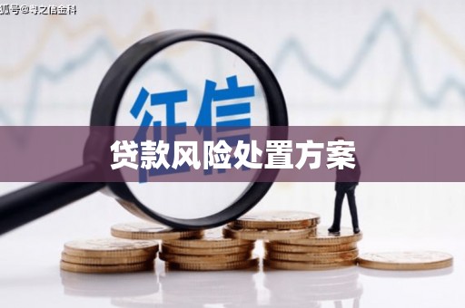洛川贷款风险处置方案