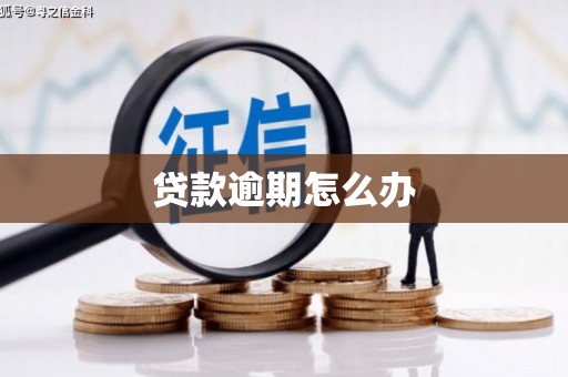 洛川贷款逾期怎么办