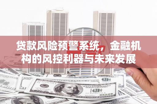 洛川贷款风险预警系统，金融机构的风控利器与未来发展