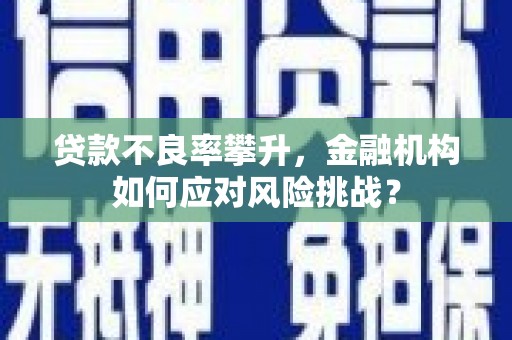 洛川贷款不良率攀升，金融机构如何应对风险挑战？