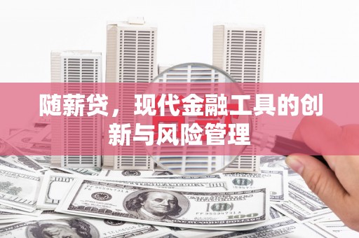 洛川随薪贷，现代金融工具的创新与风险管理