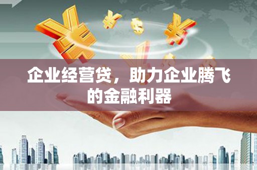 洛川企业经营贷，助力企业腾飞的金融利器