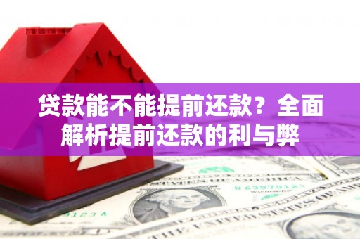 洛川贷款能不能提前还款？全面解析提前还款的利与弊