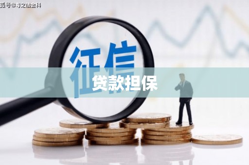 洛川贷款担保