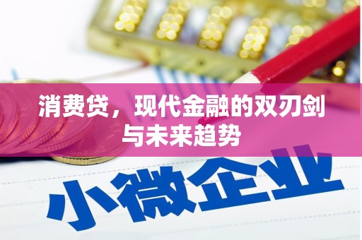 洛川消费贷，现代金融的双刃剑与未来趋势