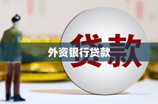 洛川外资银行贷款