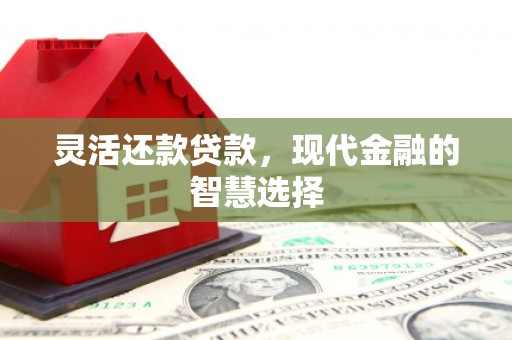 洛川灵活还款贷款，现代金融的智慧选择