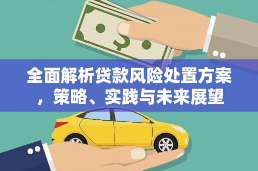 洛川全面解析贷款风险处置方案，策略、实践与未来展望