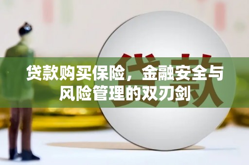 洛川贷款购买保险，金融安全与风险管理的双刃剑