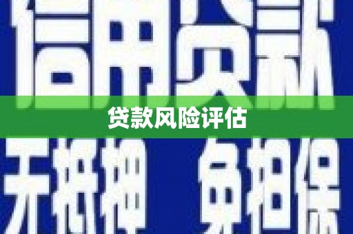 洛川贷款风险评估