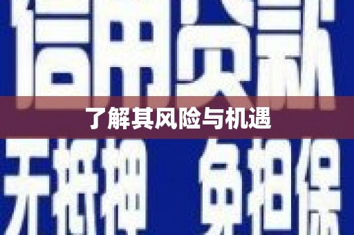 洛川了解其风险与机遇