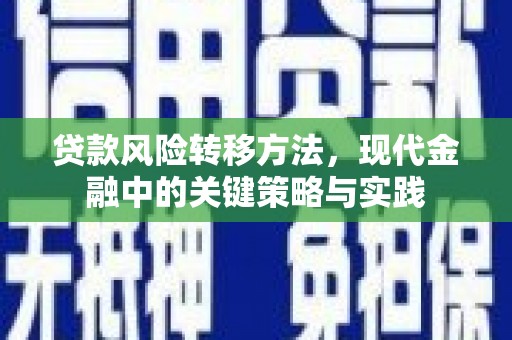 洛川贷款风险转移方法，现代金融中的关键策略与实践
