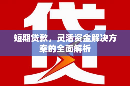 洛川短期贷款，灵活资金解决方案的全面解析