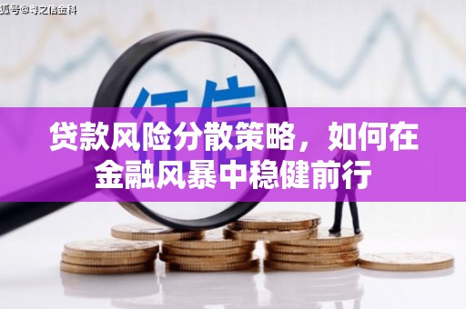 洛川贷款风险分散策略，如何在金融风暴中稳健前行