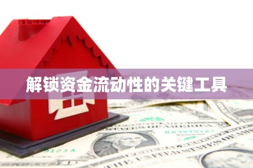 洛川解锁资金流动性的关键工具