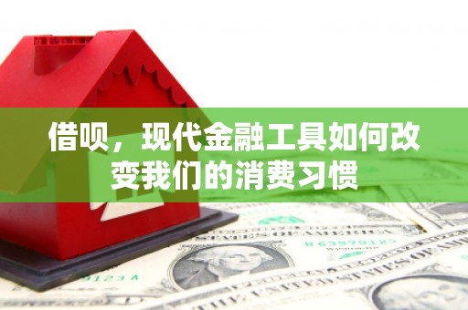 洛川借呗，现代金融工具如何改变我们的消费习惯
