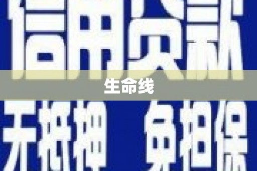 洛川生命线