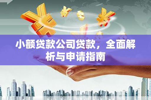 洛川小额贷款公司贷款，全面解析与申请指南