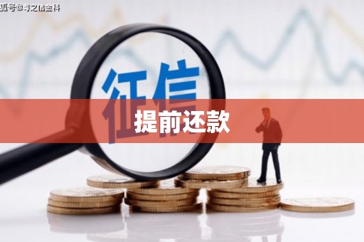 洛川提前还款