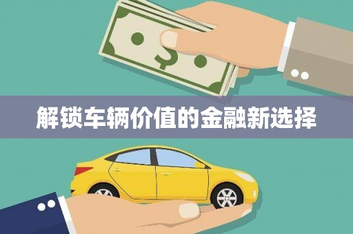 洛川解锁车辆价值的金融新选择