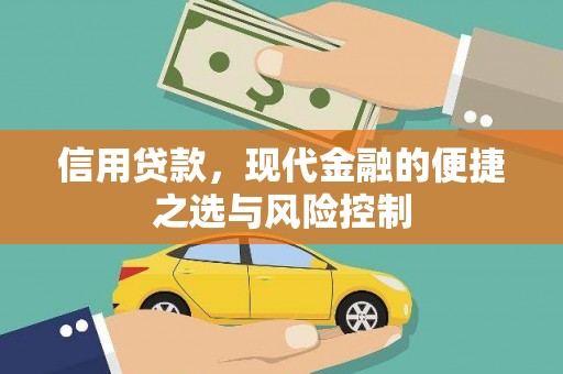 洛川信用贷款，现代金融的便捷之选与风险控制