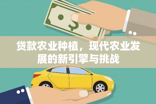洛川贷款农业种植，现代农业发展的新引擎与挑战