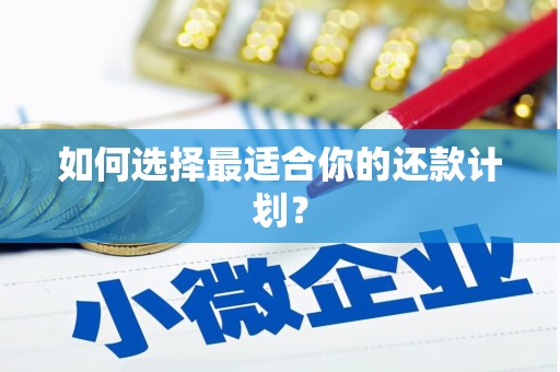 洛川如何选择最适合你的还款计划？