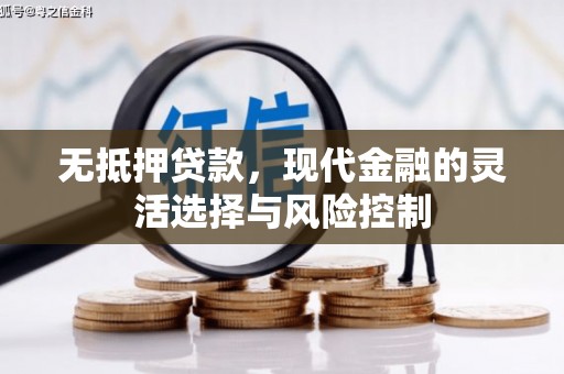 洛川无抵押贷款，现代金融的灵活选择与风险控制