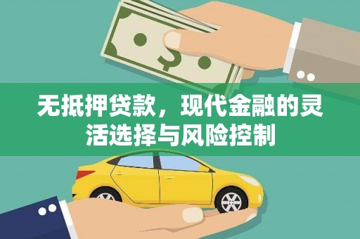 洛川无抵押贷款，现代金融的灵活选择与风险控制