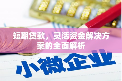 洛川短期贷款，灵活资金解决方案的全面解析