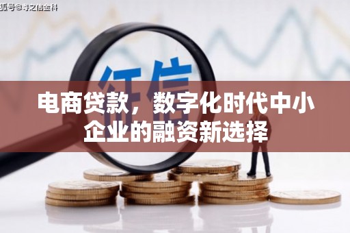洛川电商贷款，数字化时代中小企业的融资新选择