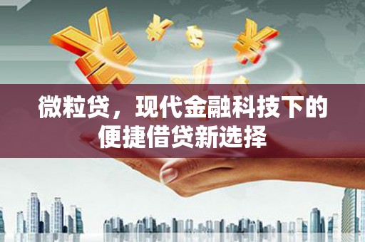洛川微粒贷，现代金融科技下的便捷借贷新选择
