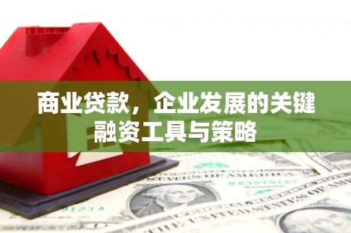 洛川商业贷款，企业发展的关键融资工具与策略