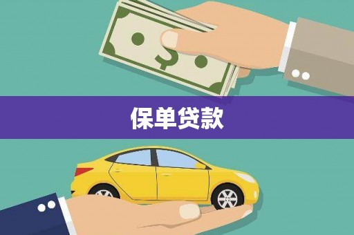 洛川保单贷款