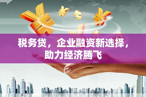 洛川税务贷，企业融资新选择，助力经济腾飞