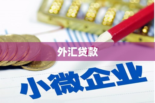 洛川外汇贷款