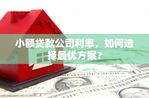 洛川小额贷款公司利率，如何选择最优方案？