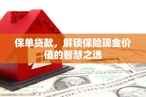 洛川保单贷款，解锁保险现金价值的智慧之选