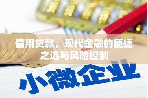 洛川信用贷款，现代金融的便捷之选与风险控制