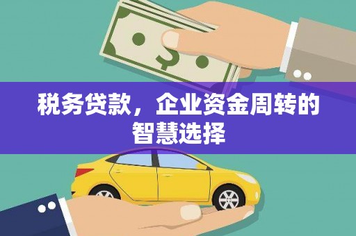 洛川税务贷款，企业资金周转的智慧选择