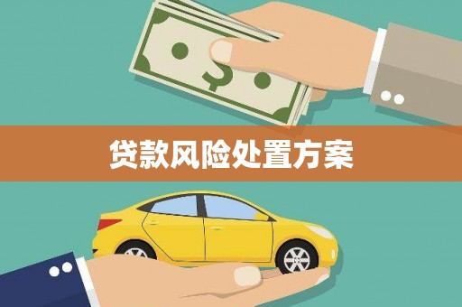 洛川贷款风险处置方案