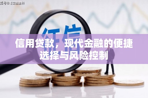 洛川信用贷款，现代金融的便捷选择与风险控制