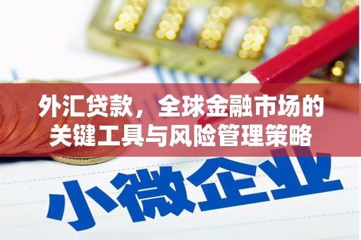 洛川外汇贷款，全球金融市场的关键工具与风险管理策略